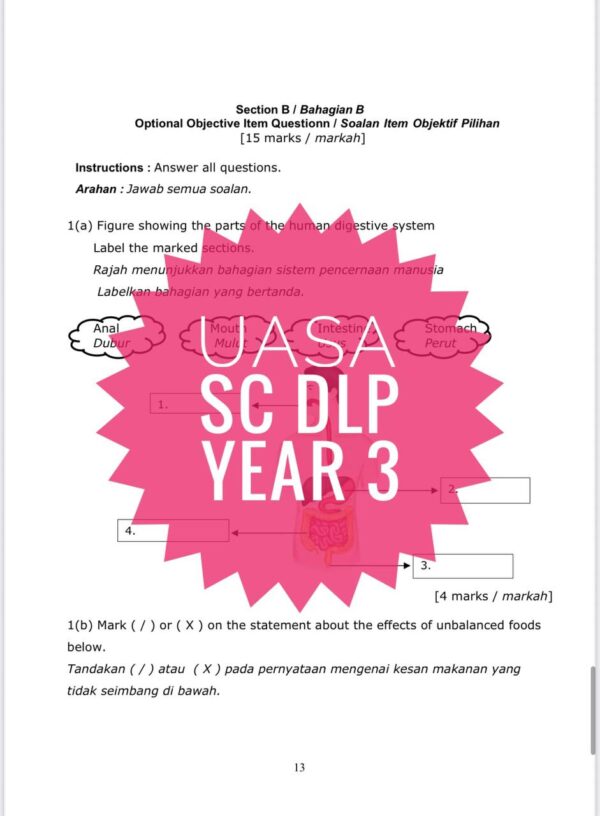 UASA - SCIENCE DLP YEAR 3 2025/2026 (Set 1B) - Image 4