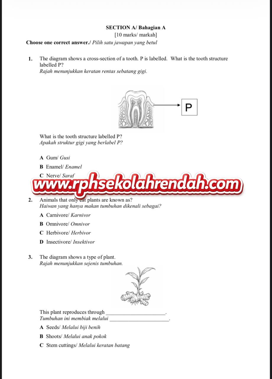 UPSA - Science DLP Tahun 3 2026 (Set 1 - Soalan Sahaja) UPSA - Science DLP Tahun 3 2026 (Set 1 - Soalan Sahaja) - Image 3