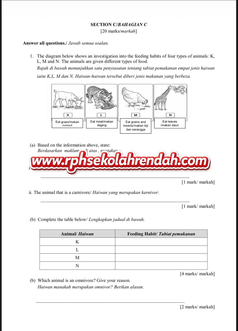 UPSA - Science DLP Tahun 3 2026 (Set 1 - Soalan Sahaja) UPSA - Science DLP Tahun 3 2026 (Set 1 - Soalan Sahaja) - Image 5