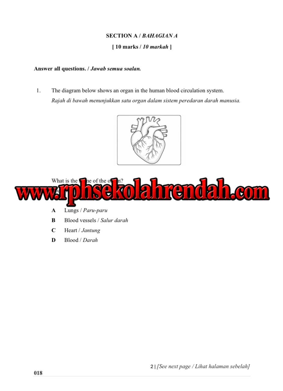 UASA - SCIENCE DLP YEAR 5 2026 (Set 1 - Soalan Sahaja) UASA - SCIENCE DLP YEAR 5 2026 (Set 1 - Soalan Sahaja) - Image 3