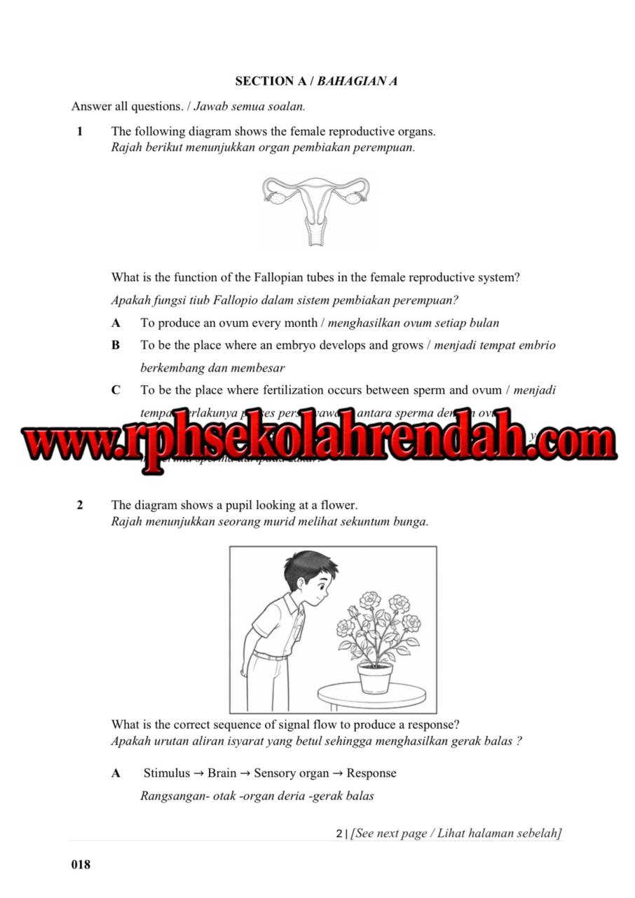 UASA - SCIENCE DLP YEAR 6 2026 (Set 1 - Soalan Sahaja) UASA - SCIENCE DLP YEAR 6 2026 (Set 1 - Soalan Sahaja) - Image 3