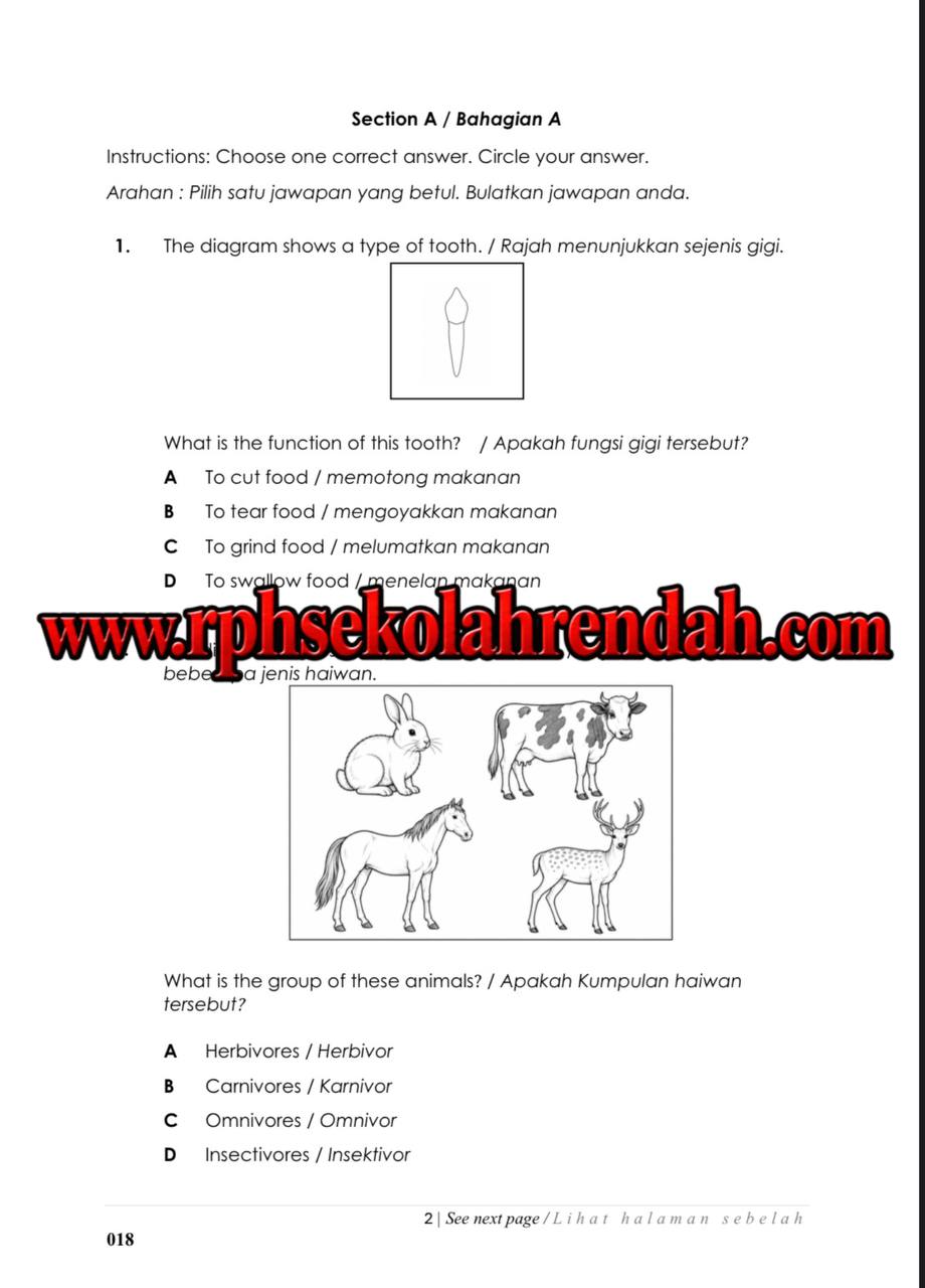PASA - SCIENCE DLP YEAR 3 2026 (Set 1 - Soalan Sahaja) PASA - SCIENCE DLP YEAR 3 2026 (Set 1 - Soalan Sahaja) - Image 3